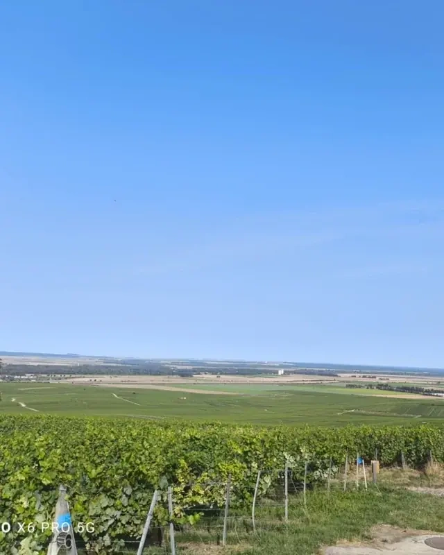 Agnès - Image 7